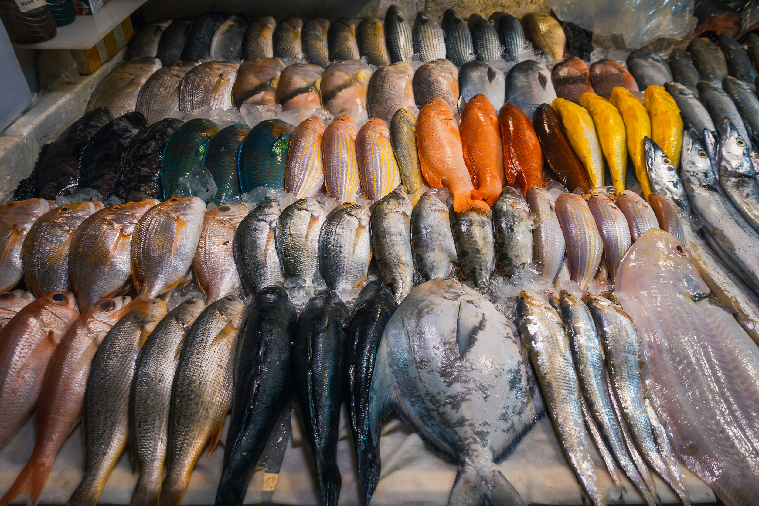 Fresh fish in market.