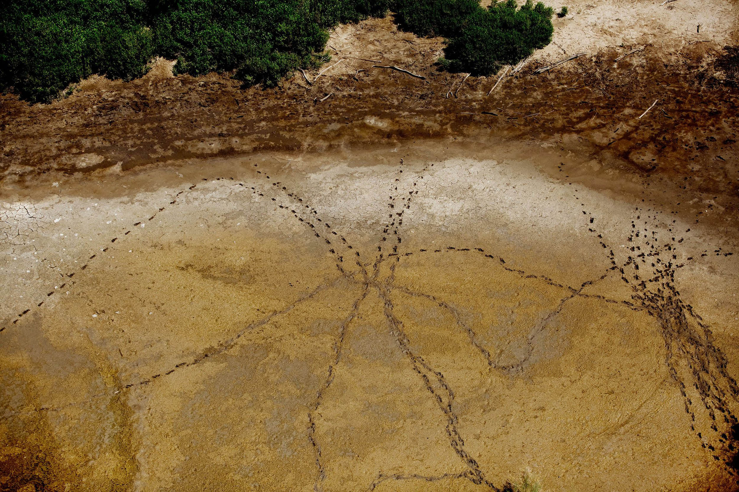 "Dried Pond along the Rio Grande."