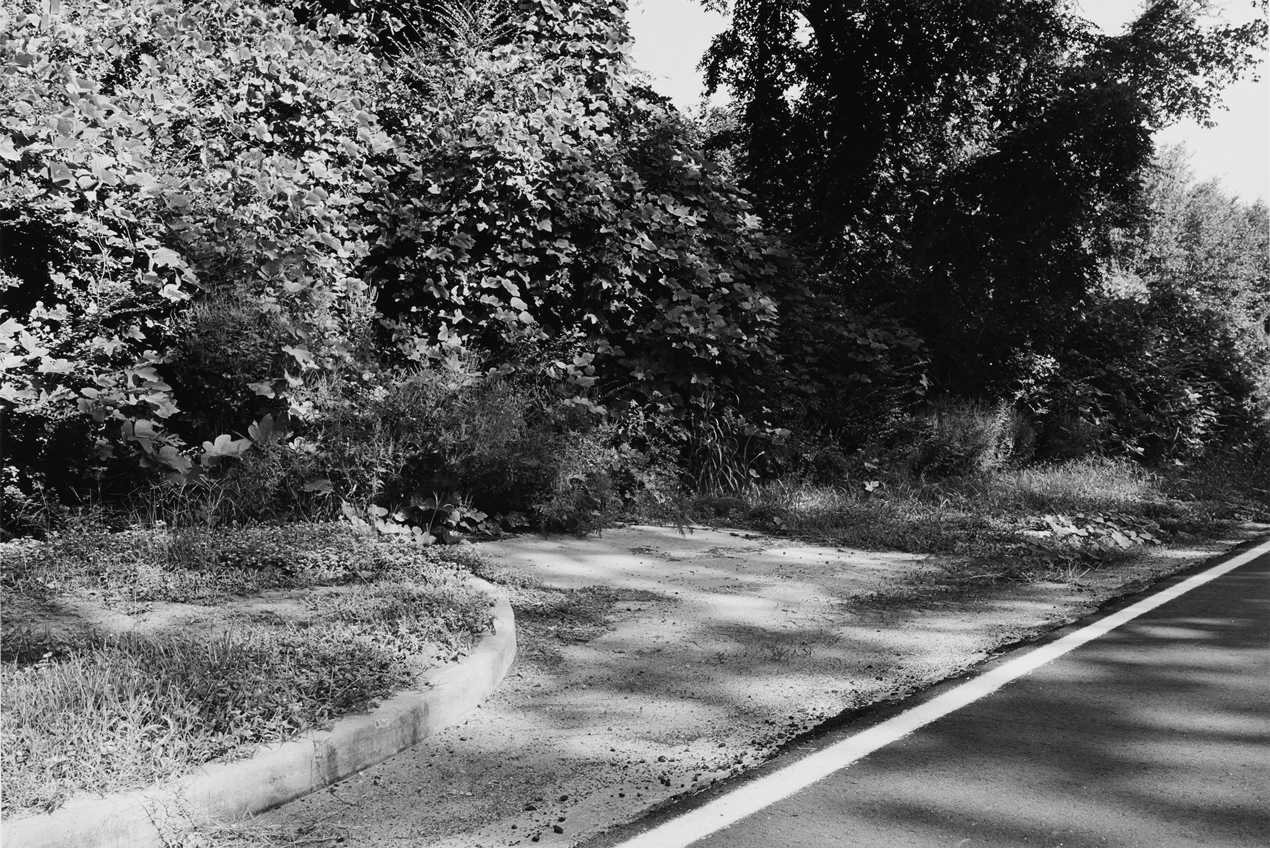 “Ellenton: the Last Traces of the Town Destroyed to Build the Savannah River Plant, Savannah River Plant: 300 Square Miles, Aiken, S.C.”