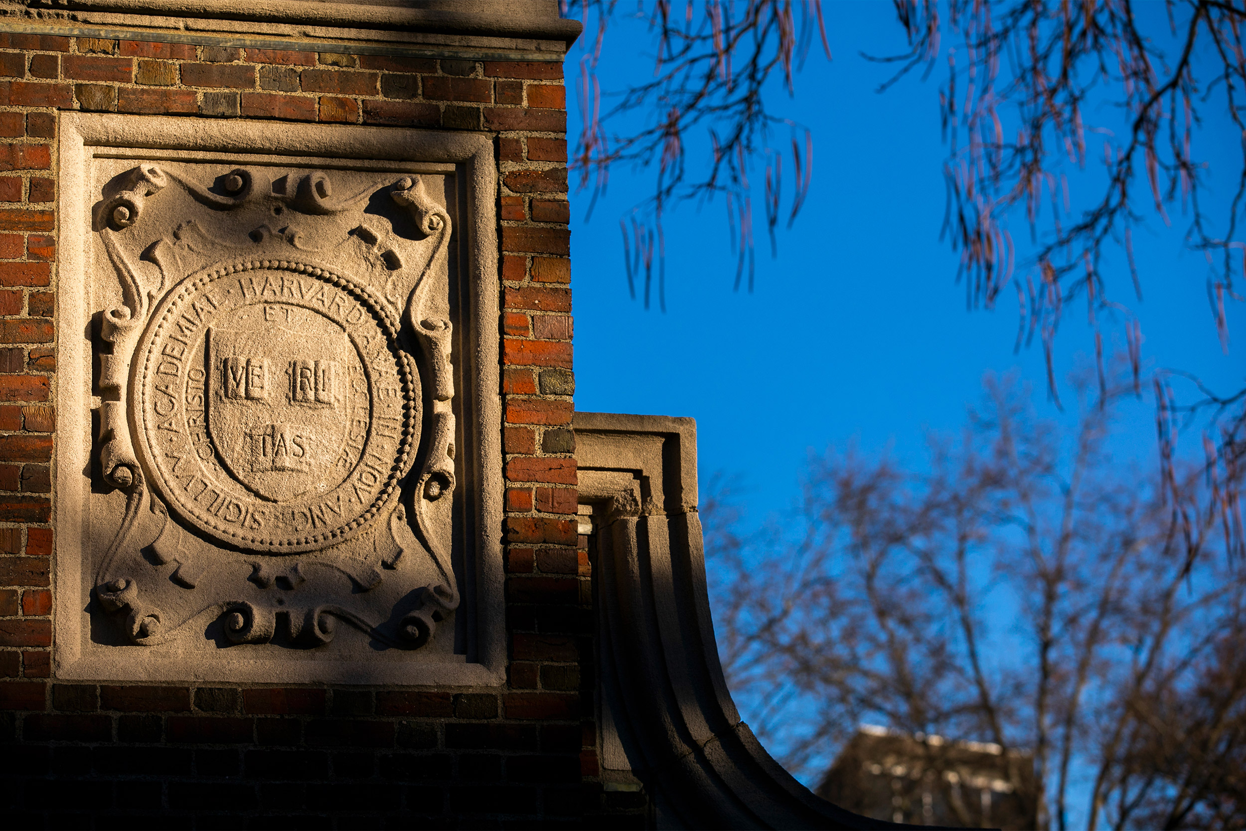 Committee named to lead Legacy of Slavery memorial project — Harvard ...