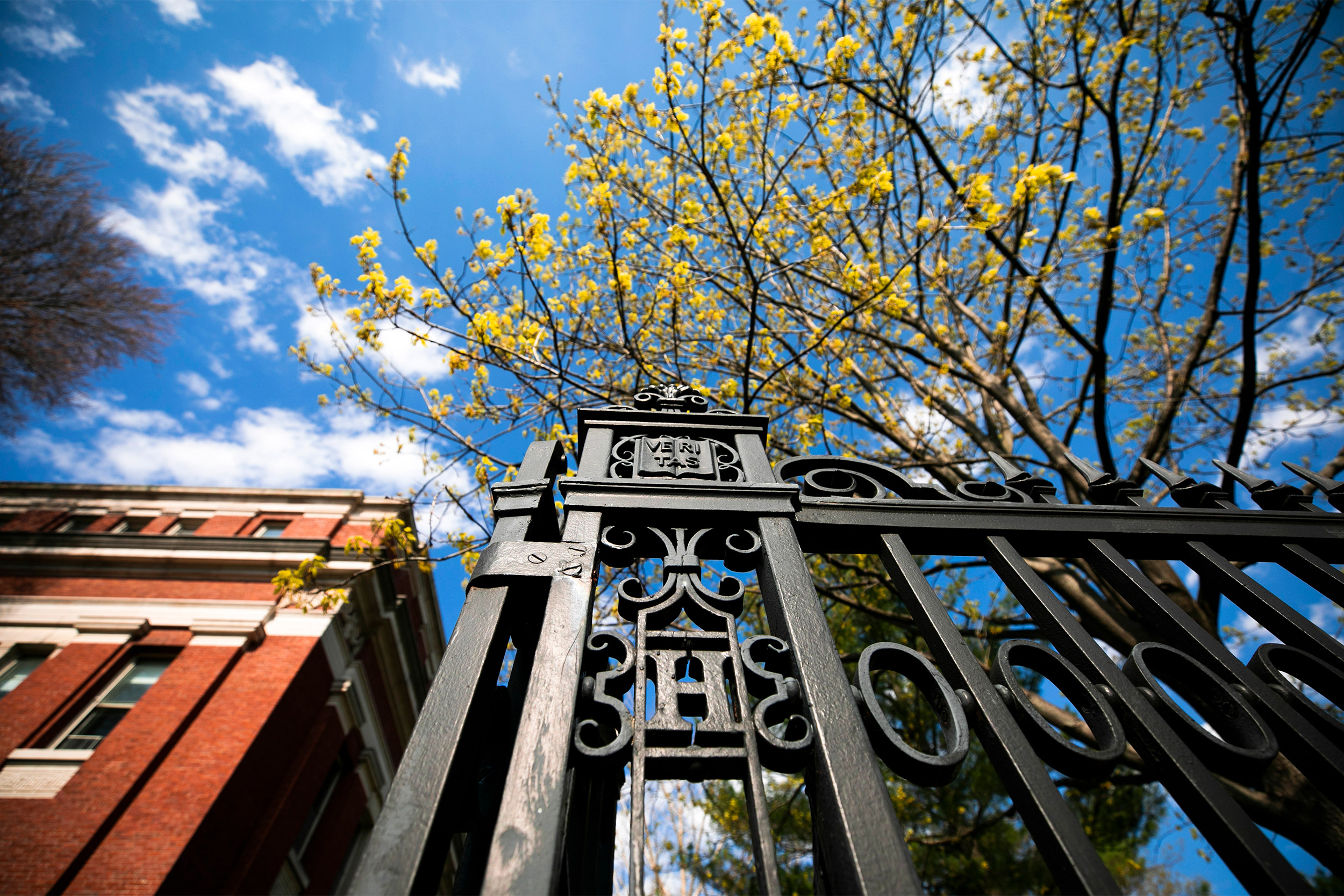 Harvard Gate in spring.