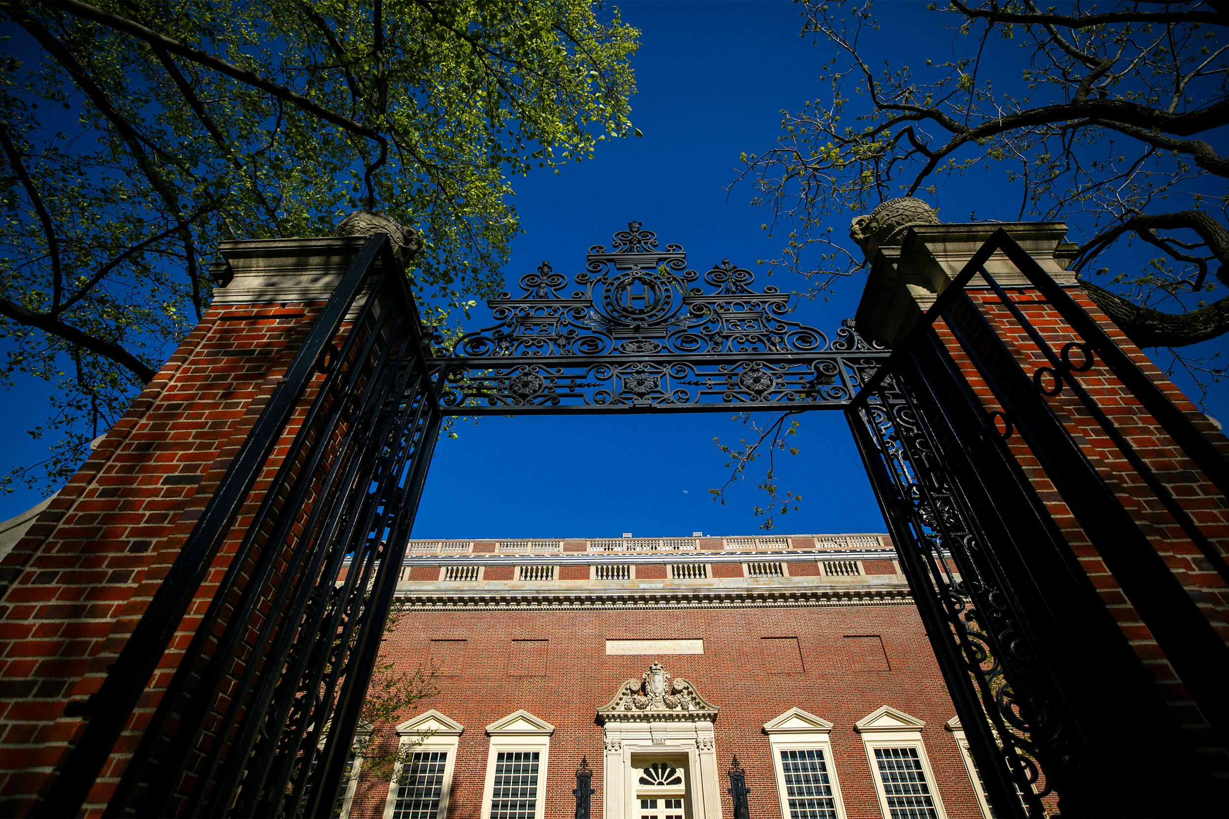 A Harvard Yard gate frames Harvard Art Museums at Harvard University. S