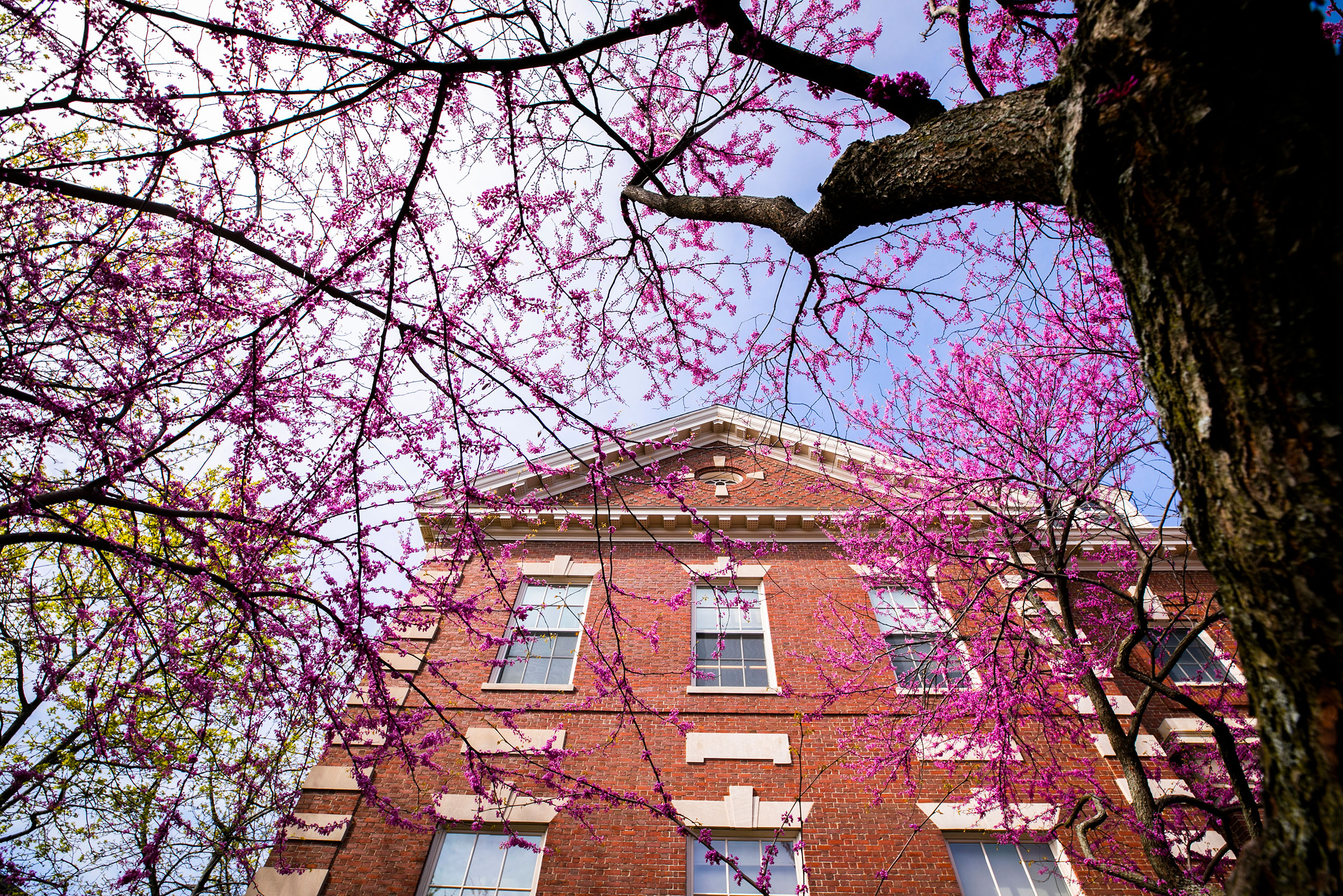 The Barker Center at Harvard University.