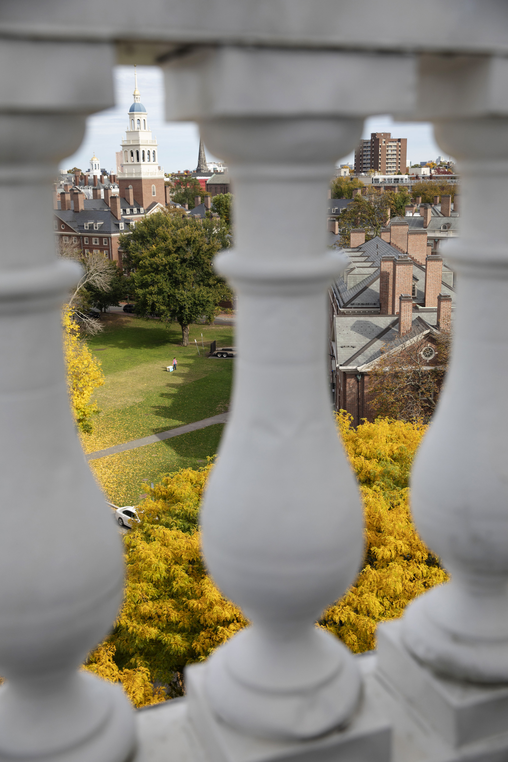 View of the MAC Quad and Lowell House from Eliot House tower.