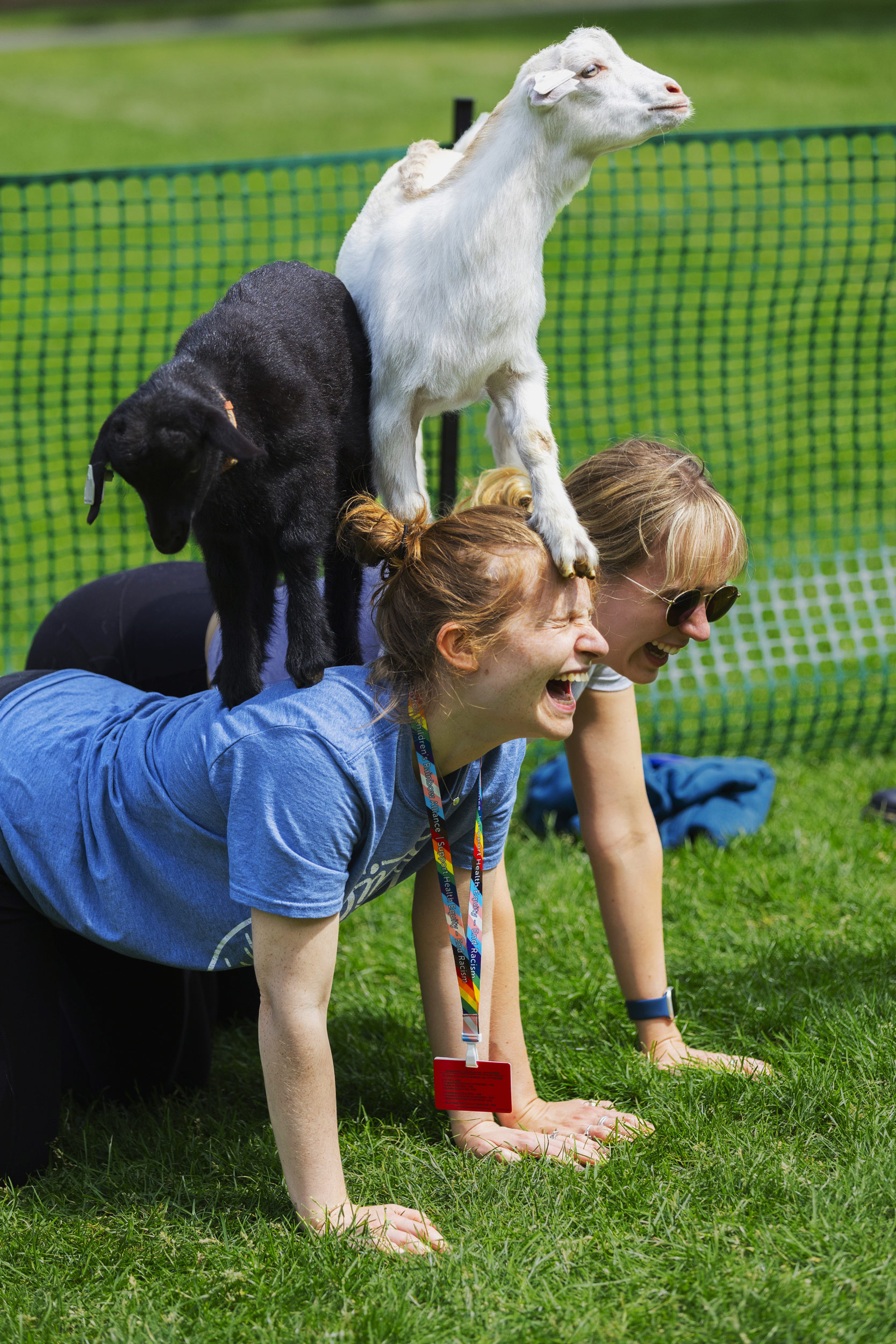 Goat standing on women's back for Goat Yoga on the QUAD.