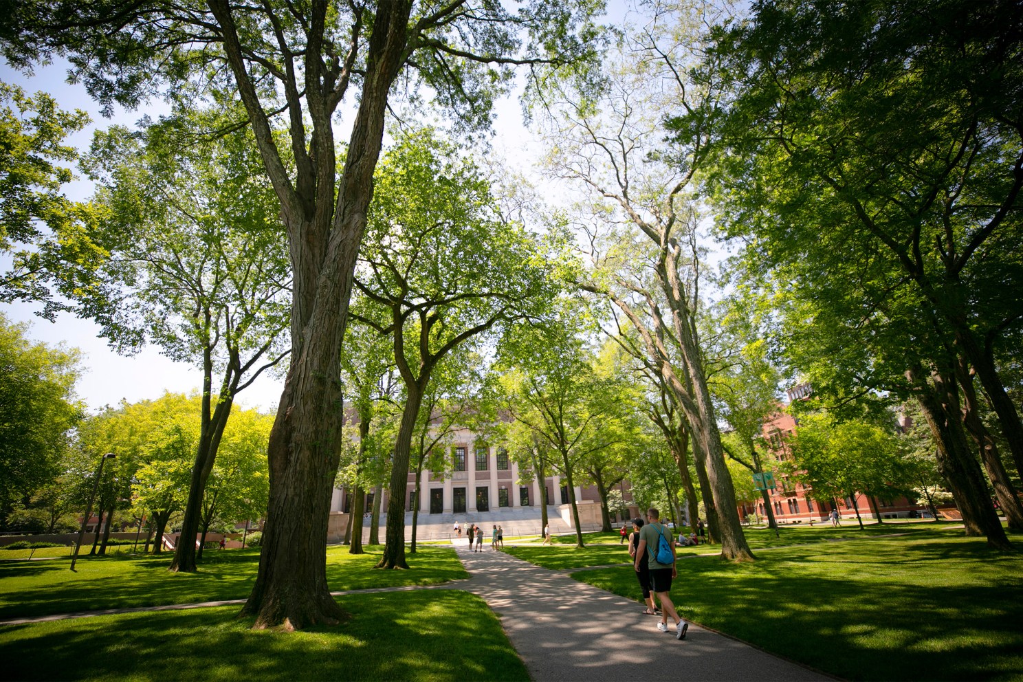 Harvard  Yard.