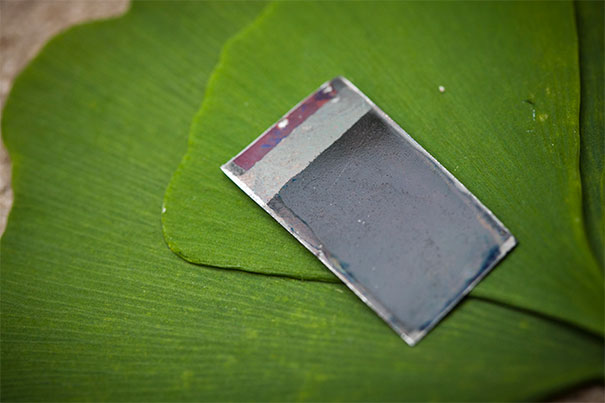 Professor Rohini Pande and Professor Daniel Nocera will collaborate to bring Nocera's “bionic leaf” together with Pande's policy research to inform the adoption of the clean energy in India.