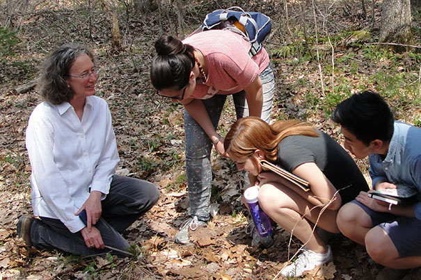 Seattle Times environmental reporter Lynda Mapes (left) turned her fellowship year at Harvard Forest, during which she focused on a single oak tree, into a book titled "Witness Tree."