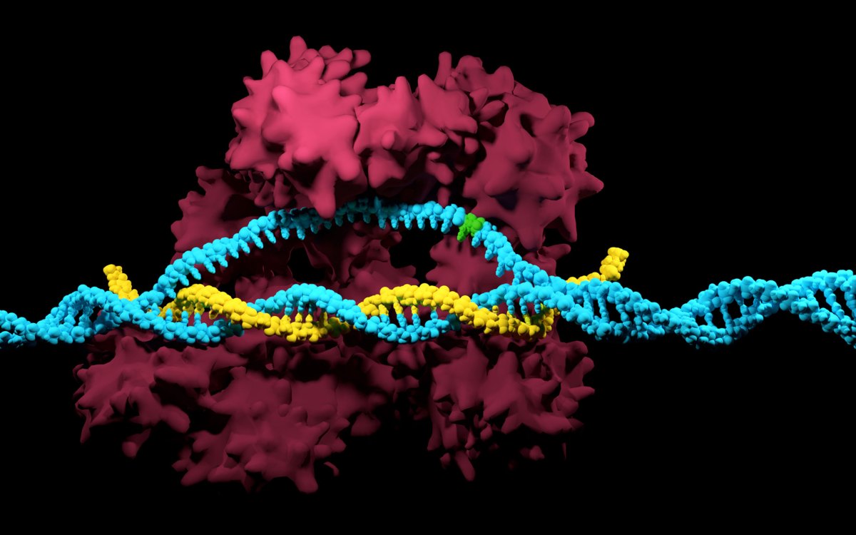 CRISPR-Cas9