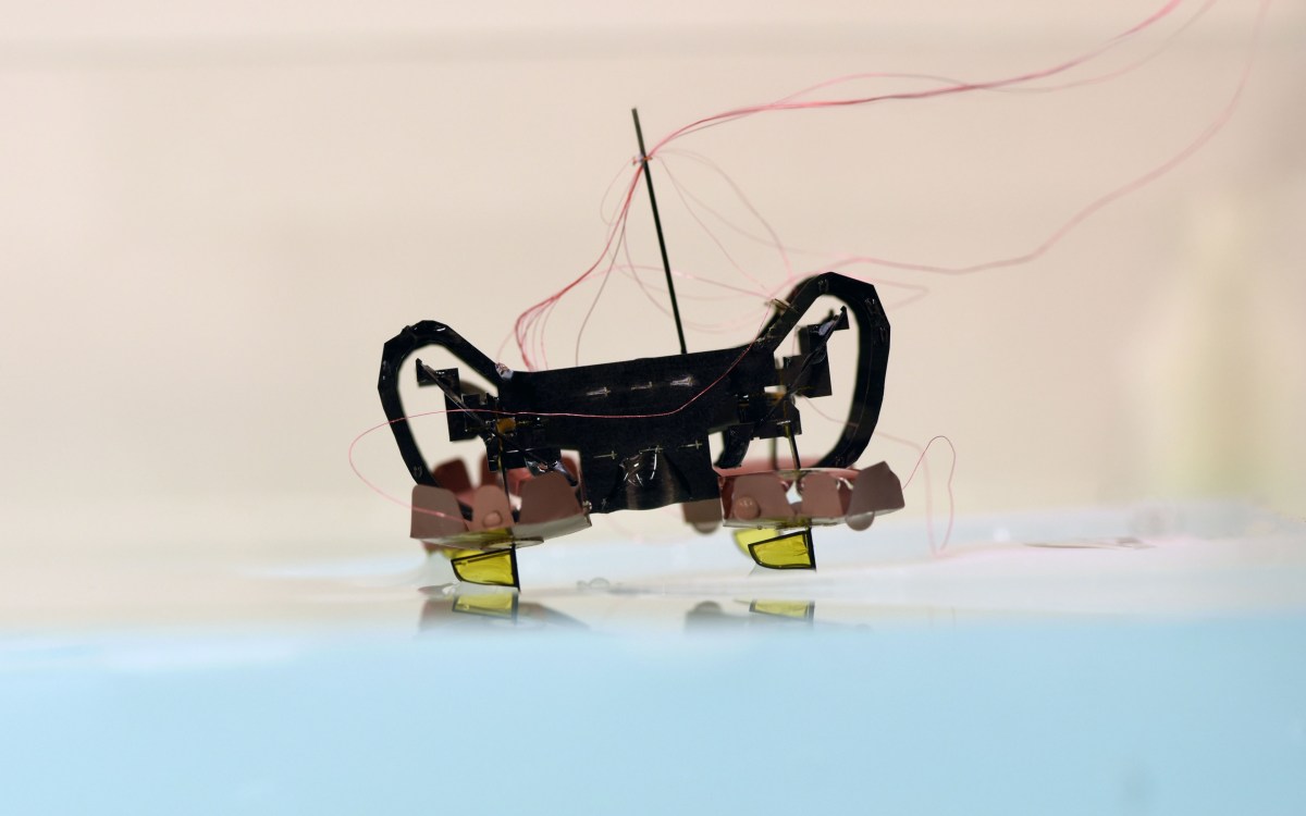 Harvard’s Ambulatory Microrobot.