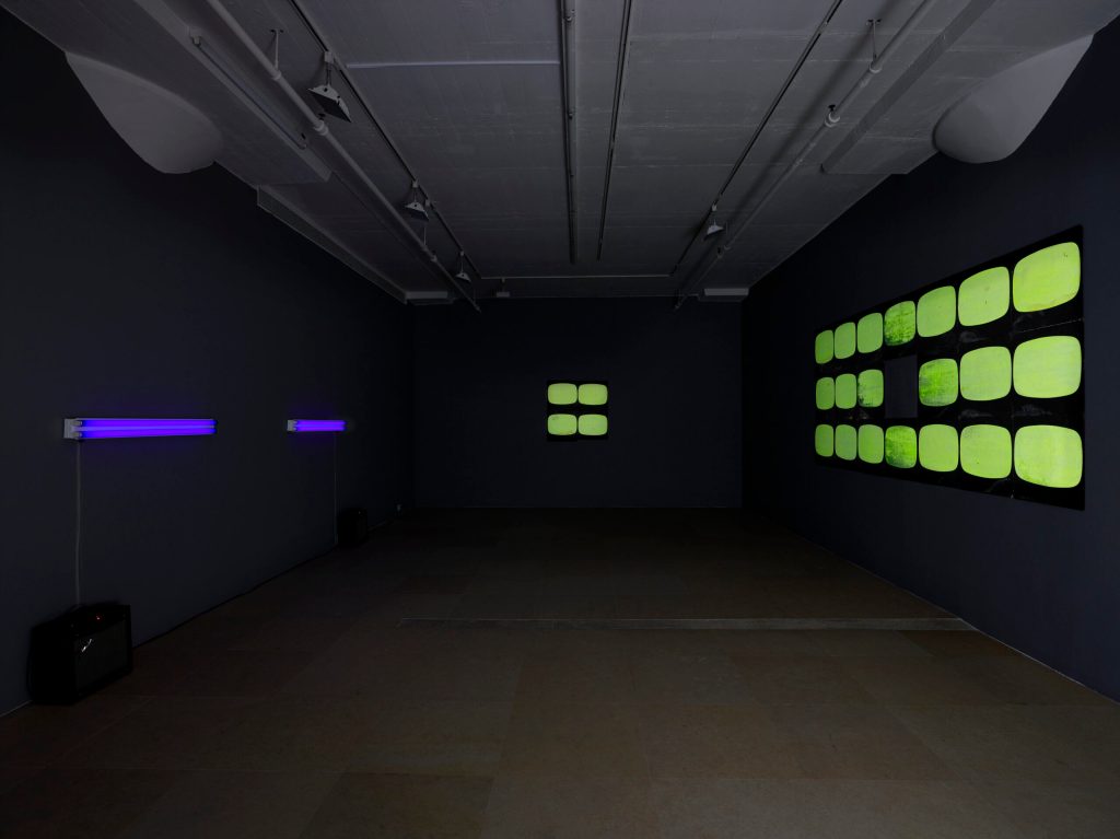 Introducing Tony Conrad: A Retrospective.