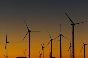 wind farm