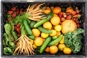 Fruits and vegetables
