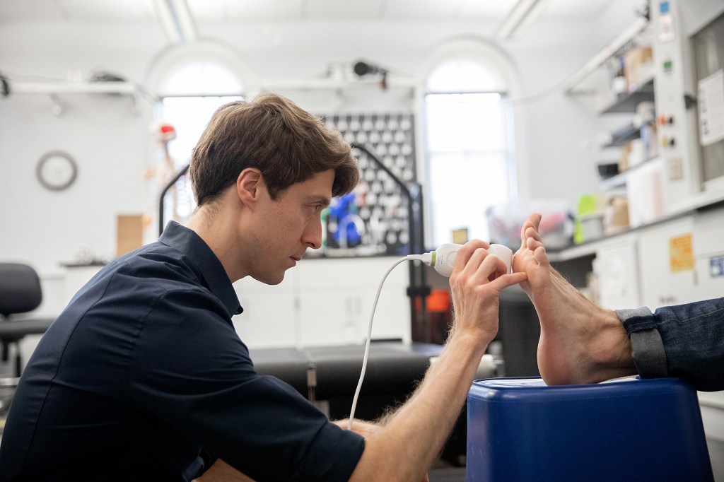 Nick Holowka, Postdoctoral Researcher, performs an ultra sound on callouses