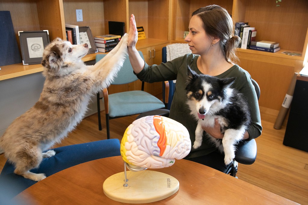 Researcher with two dogs