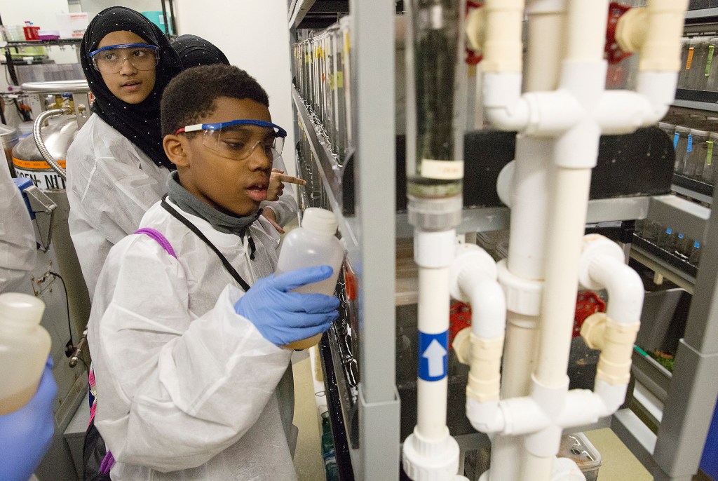 children working in a lab