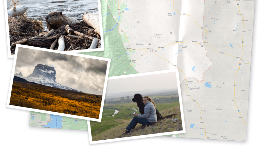 A collage of pictures of Montana, a beaver, and Jordan sitting on a hill with her dog