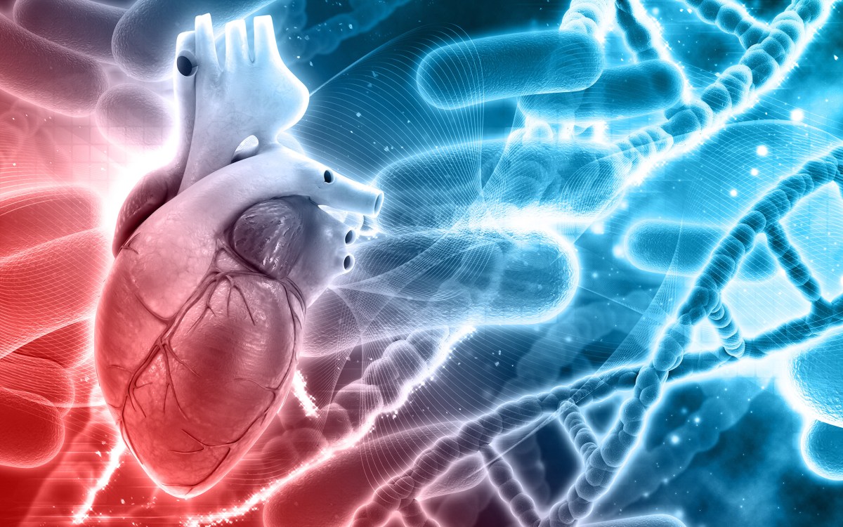 Heart with DNA strands.