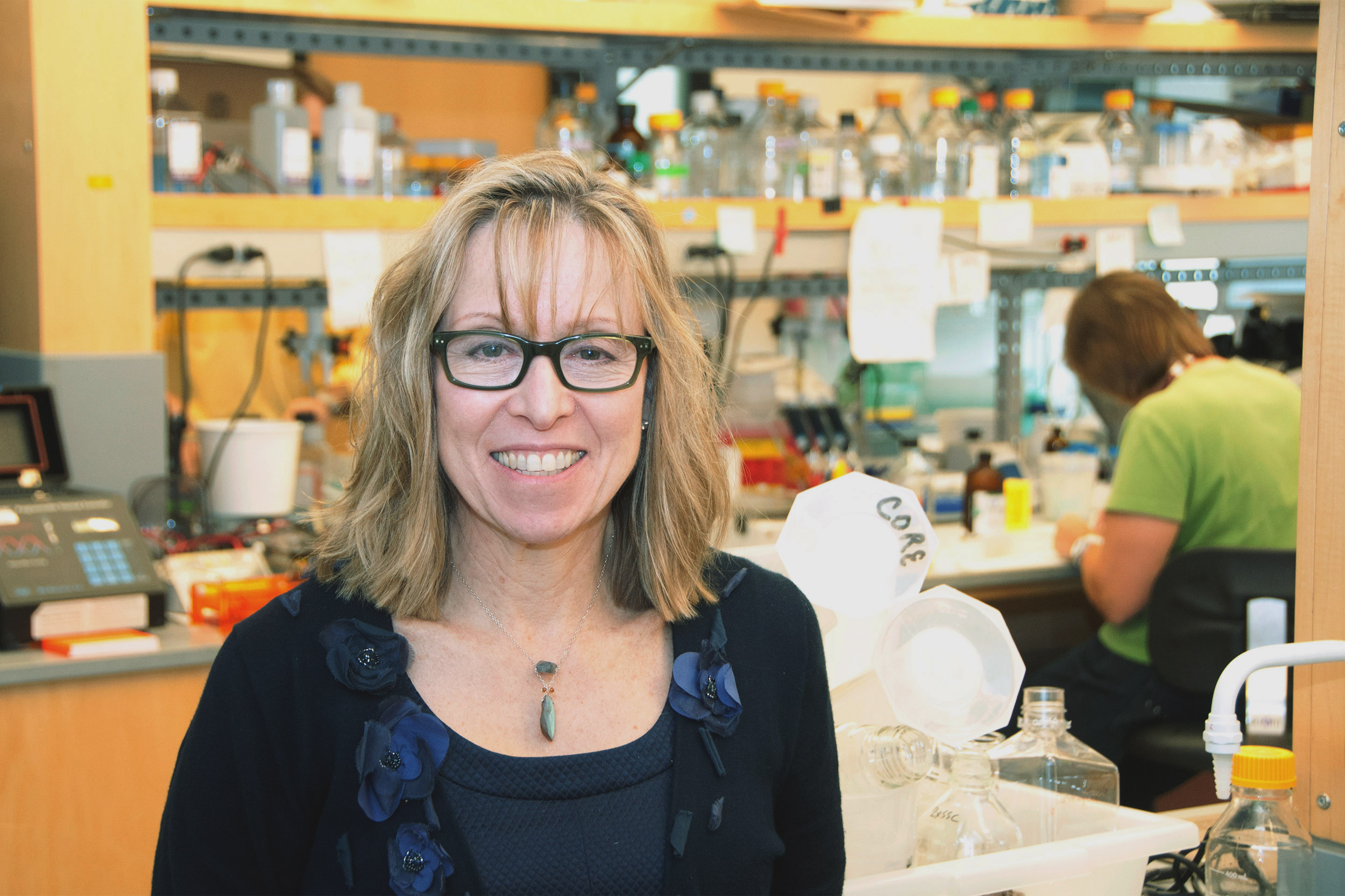 Vicki Rosen named interim dean of Harvard School of Dental Medicine ...