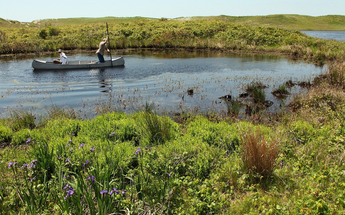 Two people in a paddleboat on a pond.