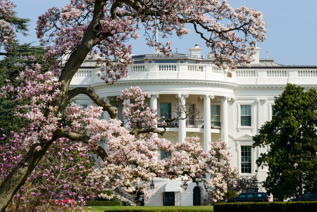 White House in the spring.