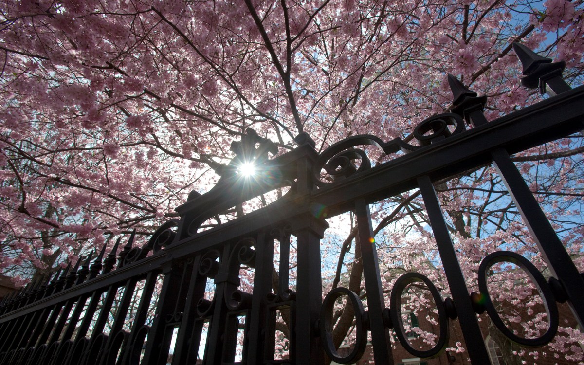 Gate at Loeb House.