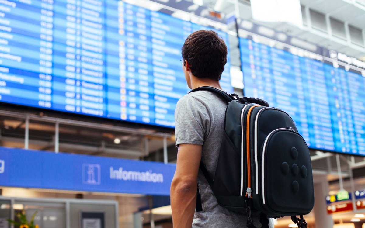 Student looking at flights.