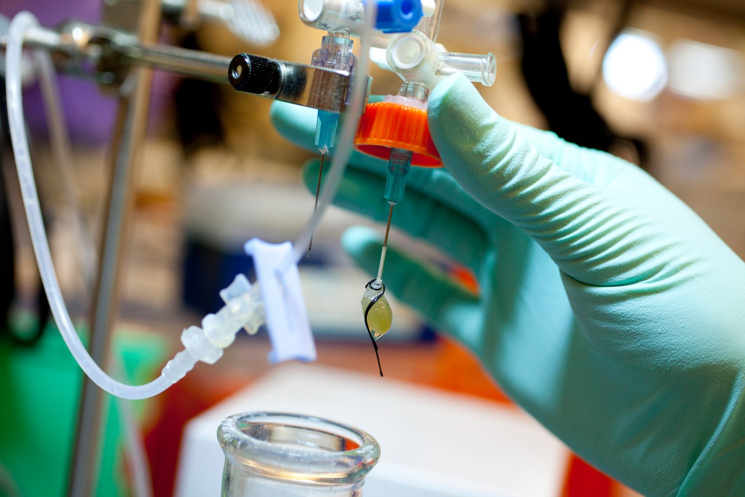 Beth Israel's Center for Life Sciences.