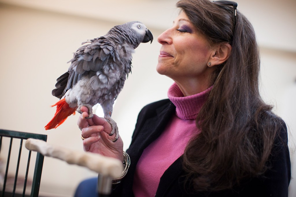 Irene Pepperberg with her parrot.