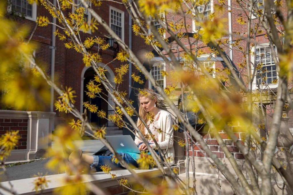 Katherine Miclau ’20 studies in Lowell House courtyard.