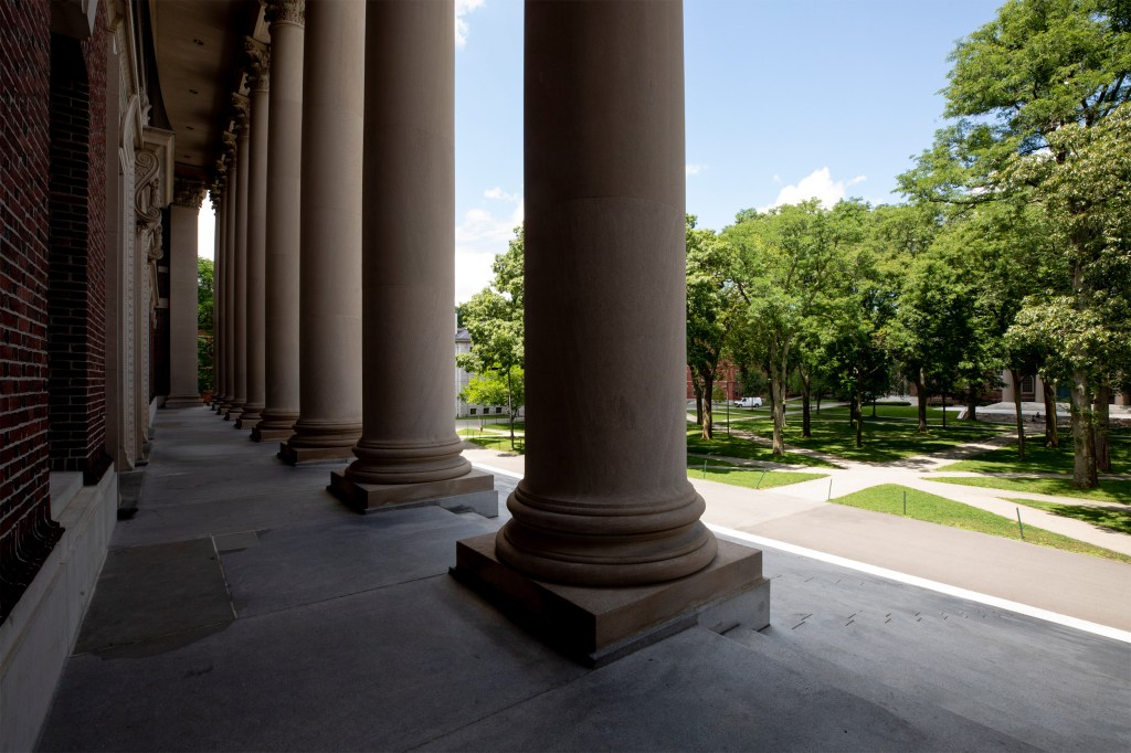 Widener Library steps.