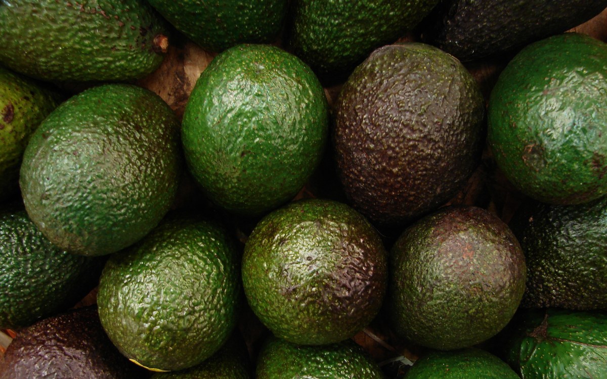 Avocados.