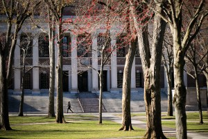 Widener Library.