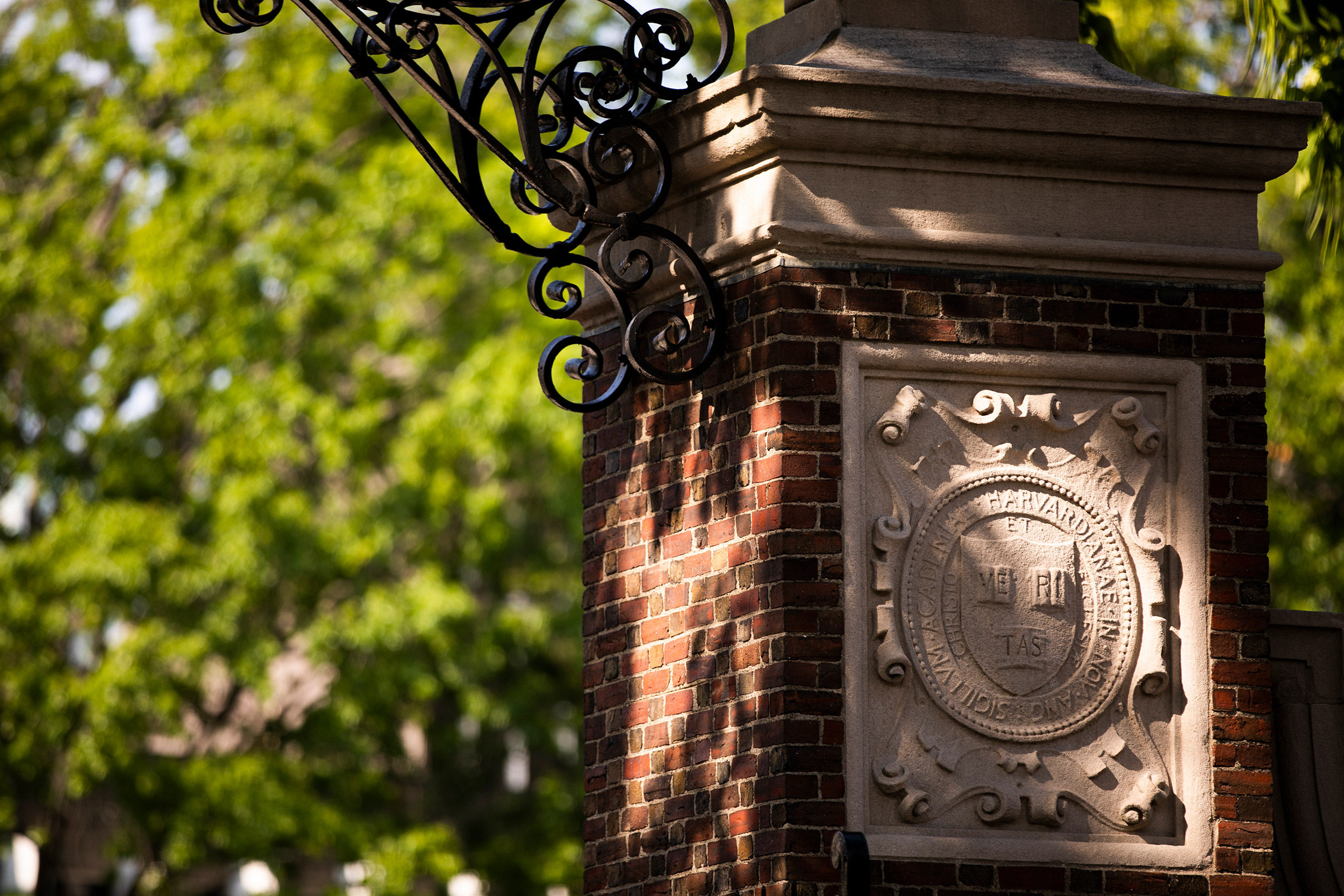 Five alumni join Board of Overseers — Harvard Gazette