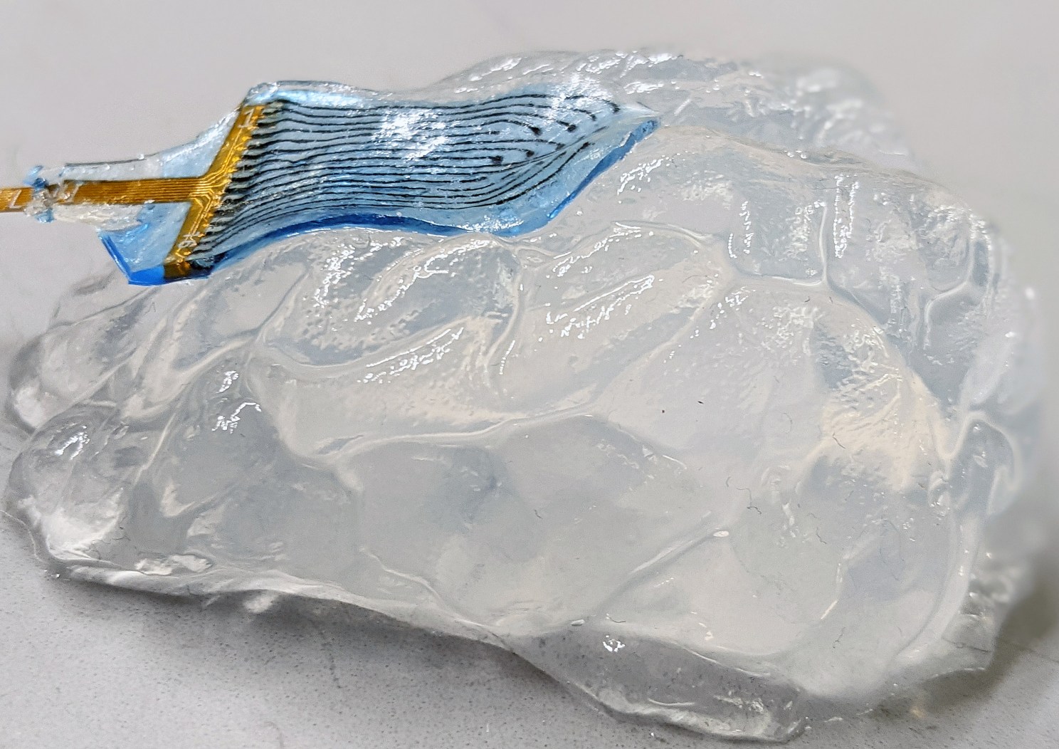 Hydrogel electrodes.