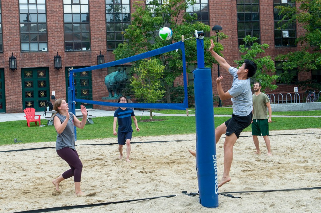 Rhino volleyball players.