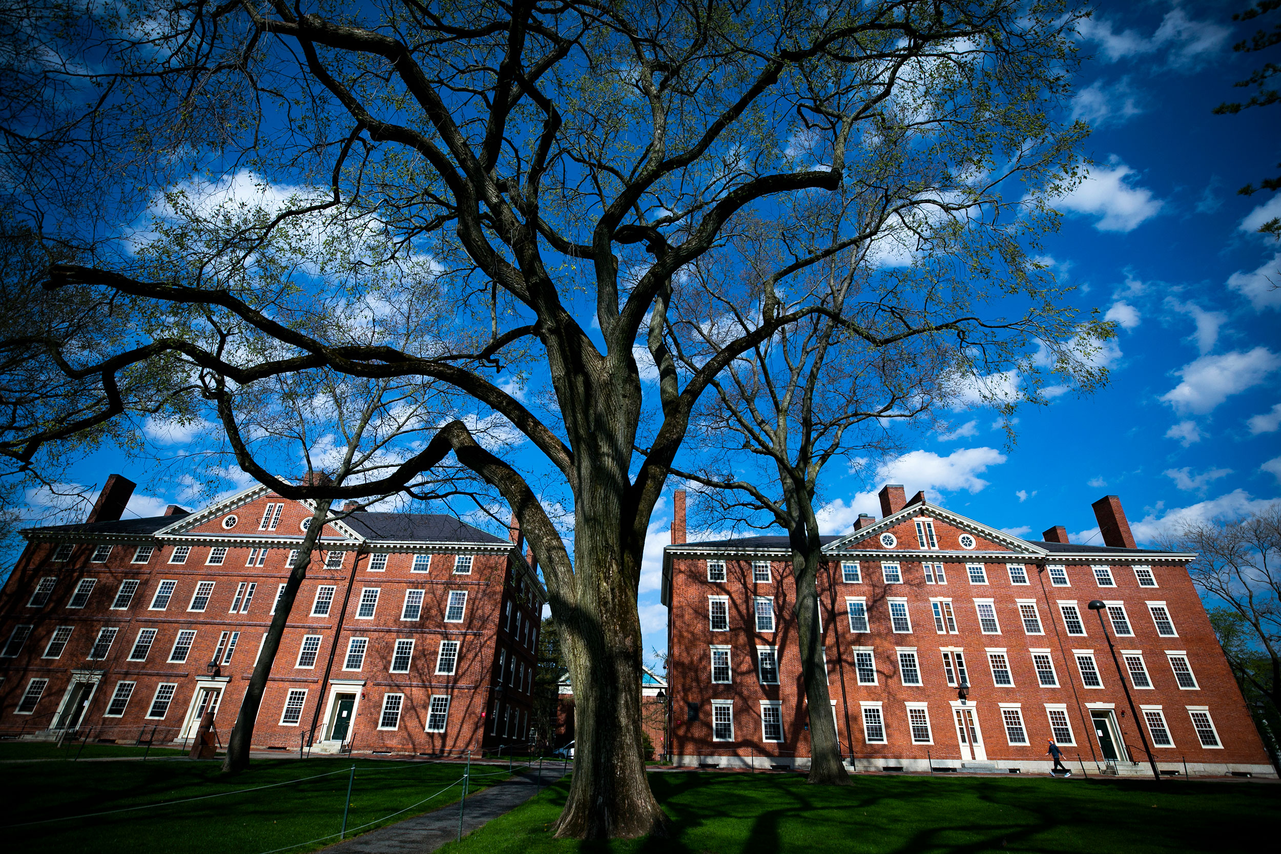 University reports budget surplus despite pandemic challenges — Harvard ...