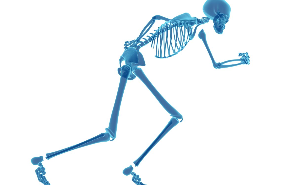 Skeleton.