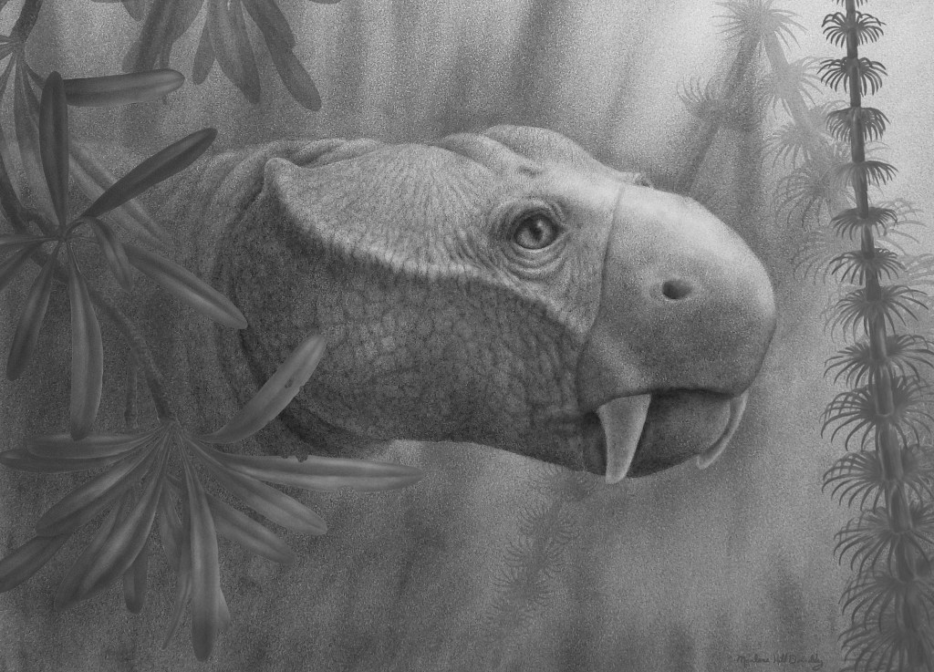 dicynodont Dicynodon.