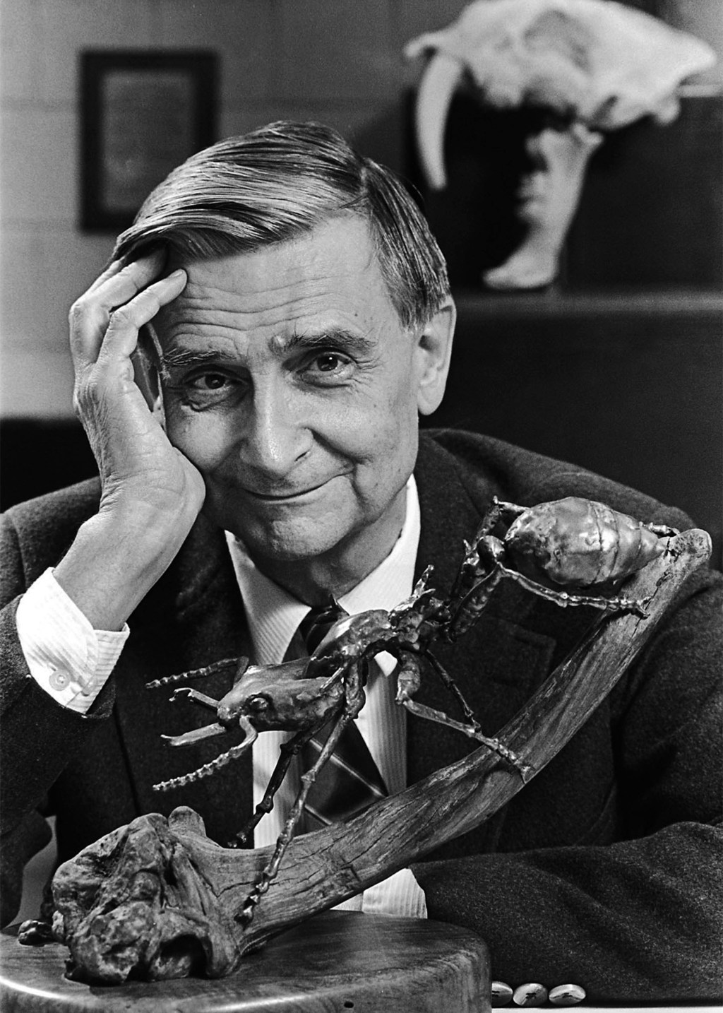 E.O. Wilson 1994.