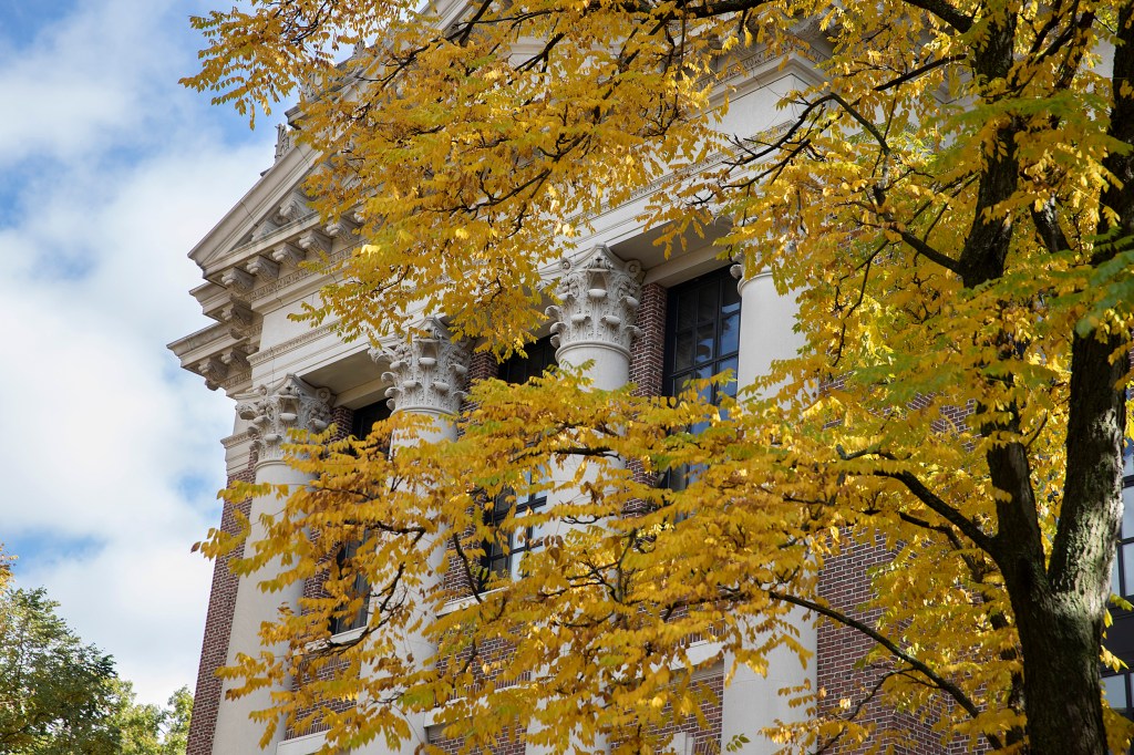 Widener library.