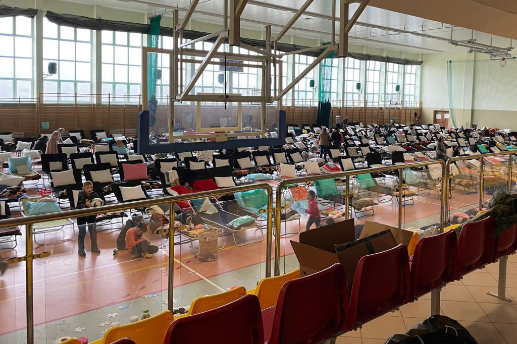 Beds set up in gymnasium turned refugee center.