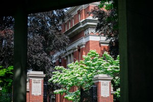 Harvard University