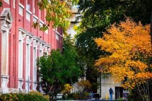 Harvard Yard in autumn,