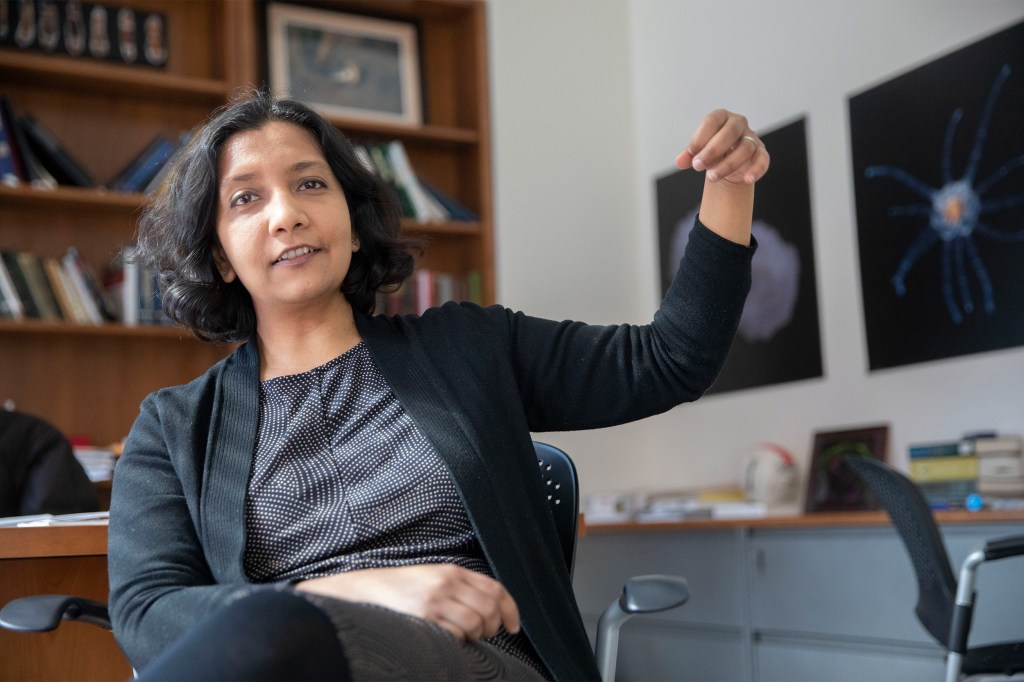 Harvard researcher Mansi Srivastava.