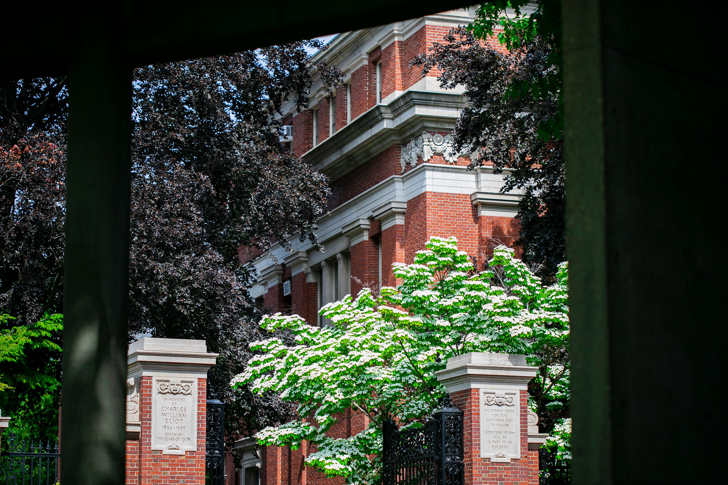 Five alumni elected to the Board of Overseers — Harvard Gazette