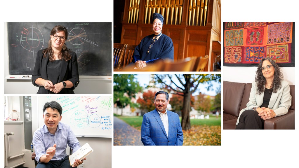 Giulia Semeghini, Tracey Hucks, Marcia Castro, Joseph P. Gone, and Junlei Li.