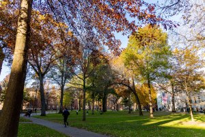 Harvard Yard.