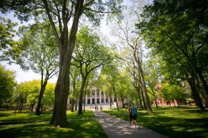 Harvard Yard.