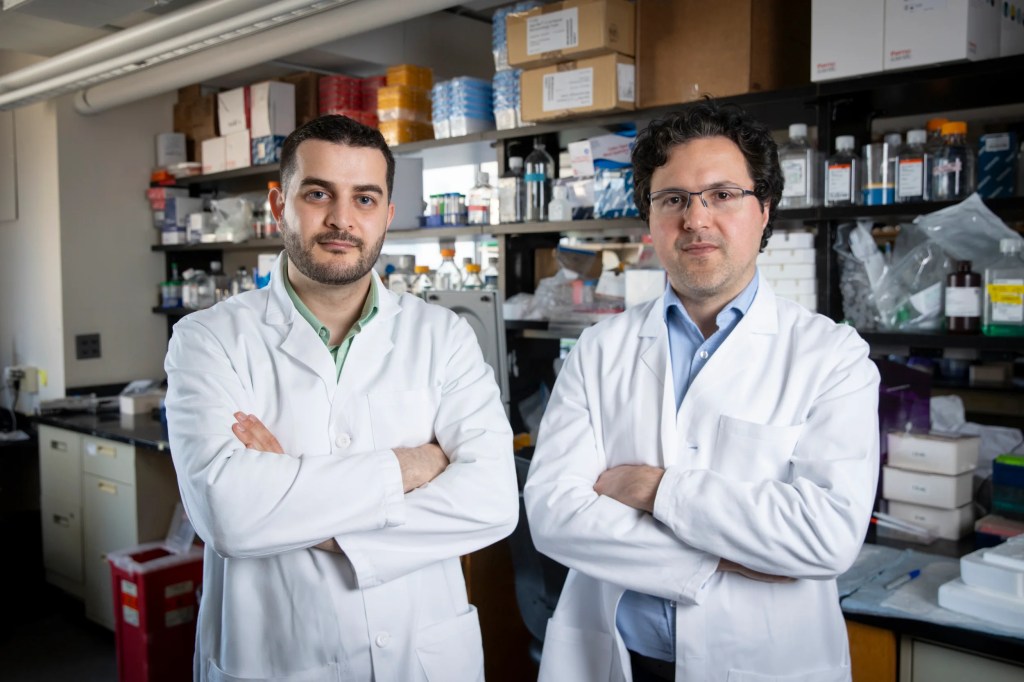 Taha Rakhshandehroo and Mohammad Rashidian in their lab space.